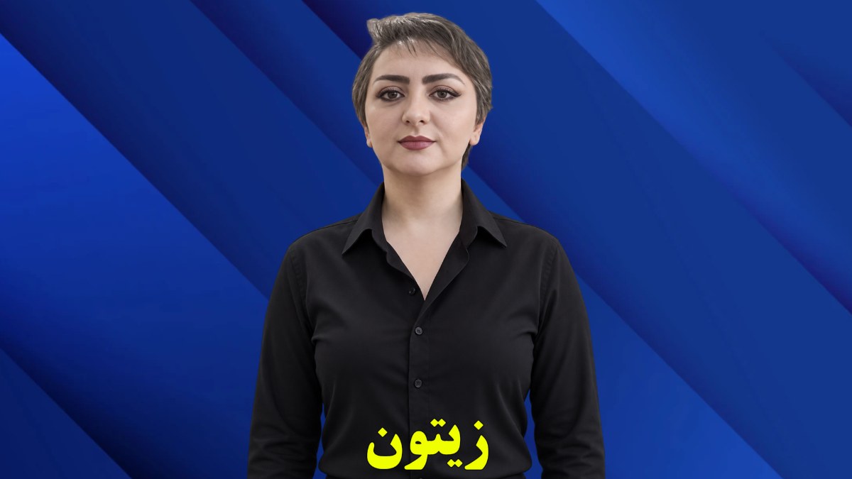 زیتون